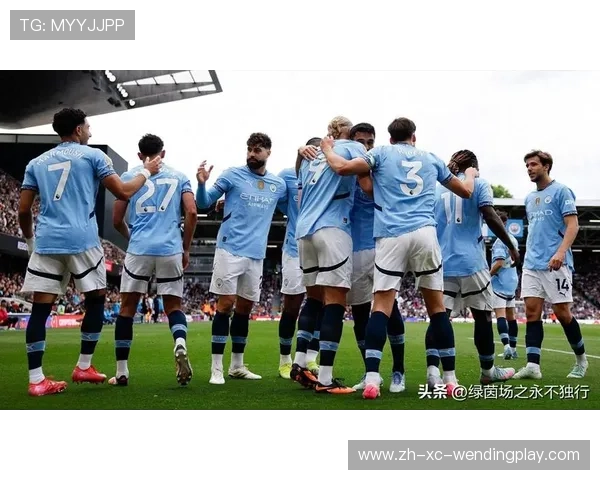 法甲球队本赛季新签球员：法甲球队夏季与冬季转会期的新援分析