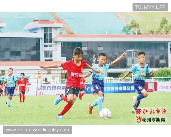 足球赛事中的明星球员与比赛分析